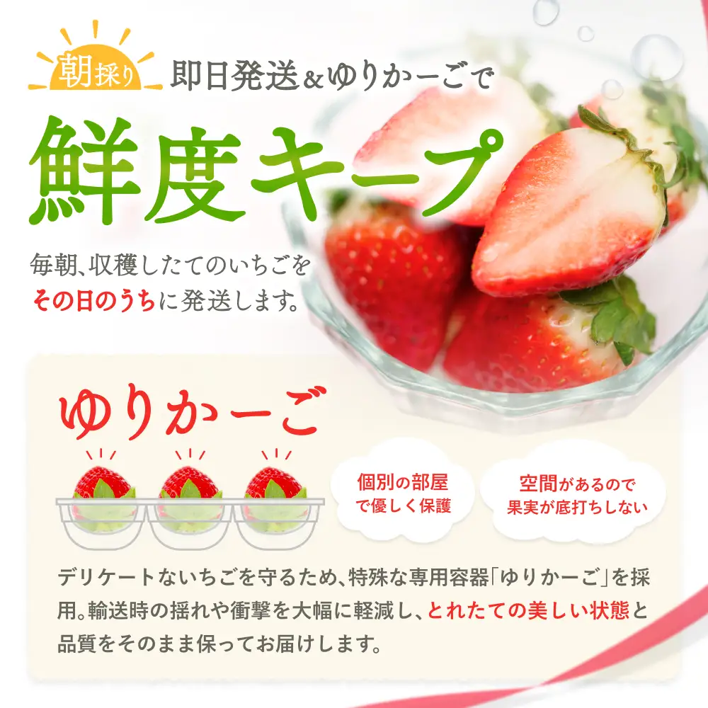 古都華 葛城市産古都華4パック 1月~3月発送【ichi0002】