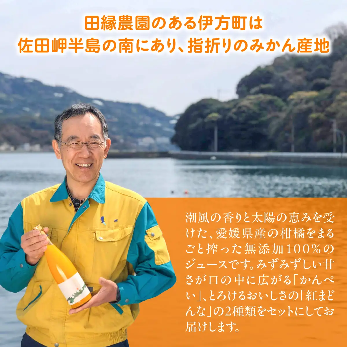 【愛媛県産】田縁農園の無添加100% かんぺい・紅まどんなジュース各3本セット（720ml×6本/かんぺい3、紅まどんな3） ストレート果汁100％ IKTA012