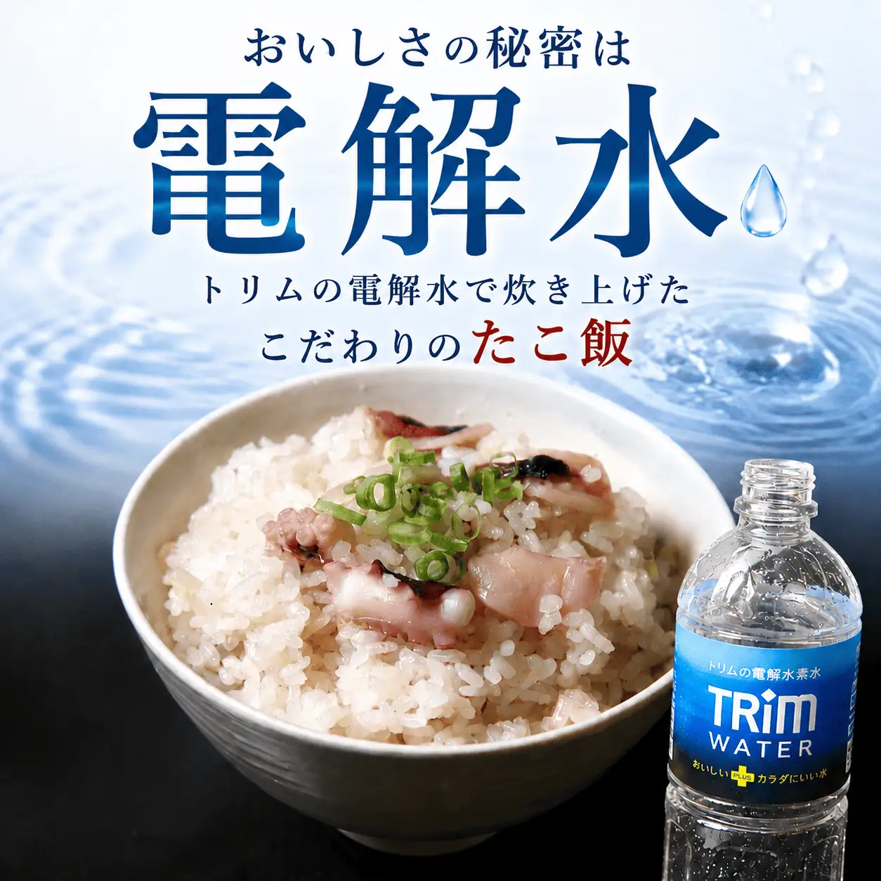 たこめし 3袋 炊き込みご飯 冷凍たこめし