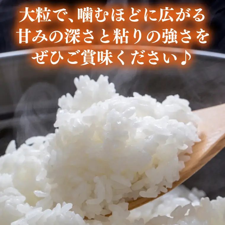＼先行予約・山﨑観光農園のお米／　ゆうだい21　白米10kg（AU048）