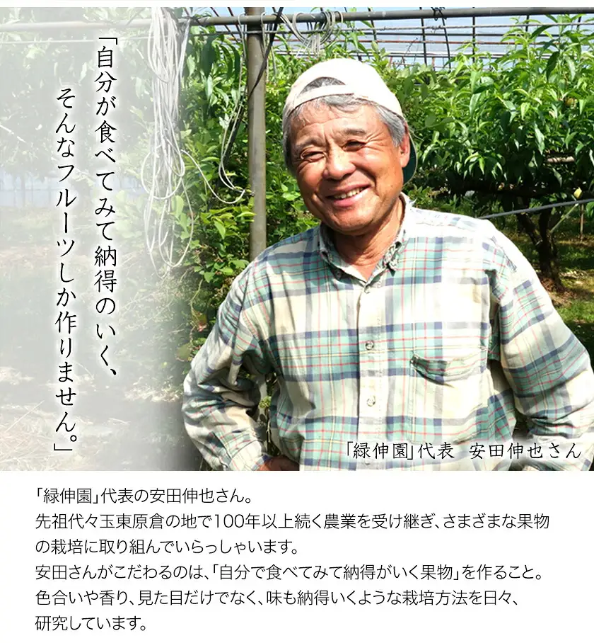 先行予約 全3回 フルーツ 定期便 みかん 柿 不知火 緑伸園 熊本