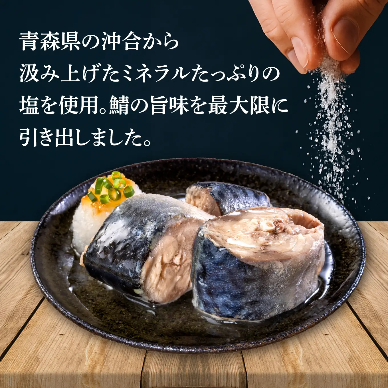 HOKO 鯖水煮 津軽海峡の塩使用 ＜12缶＞ 1缶200g 国産さば 宝幸 おかず おつまみ 缶詰 非常食 保存食 長期保存 青森県 八戸市