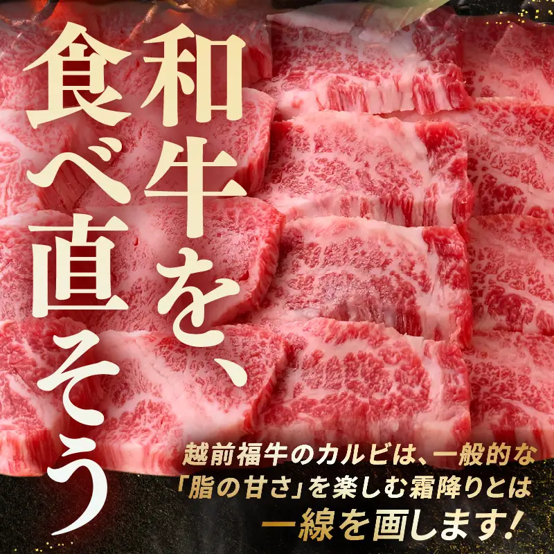 希少 越前福牛 特選カルビ 焼肉用 500g 牛肉 国産和牛 カルビ 冷凍 贈答 ギフト [B-1806] 