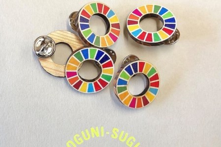 【小国町森林組合】阿蘇小国杉 SDGs ピンバッジ マグネット 計4個 小国杉 天然木 国産材 阿蘇 熊本 木製 サスティナブル アイコン 贈り物 ギフト プレゼント ノベルティにおすすめ 阿蘇小国杉のくらし