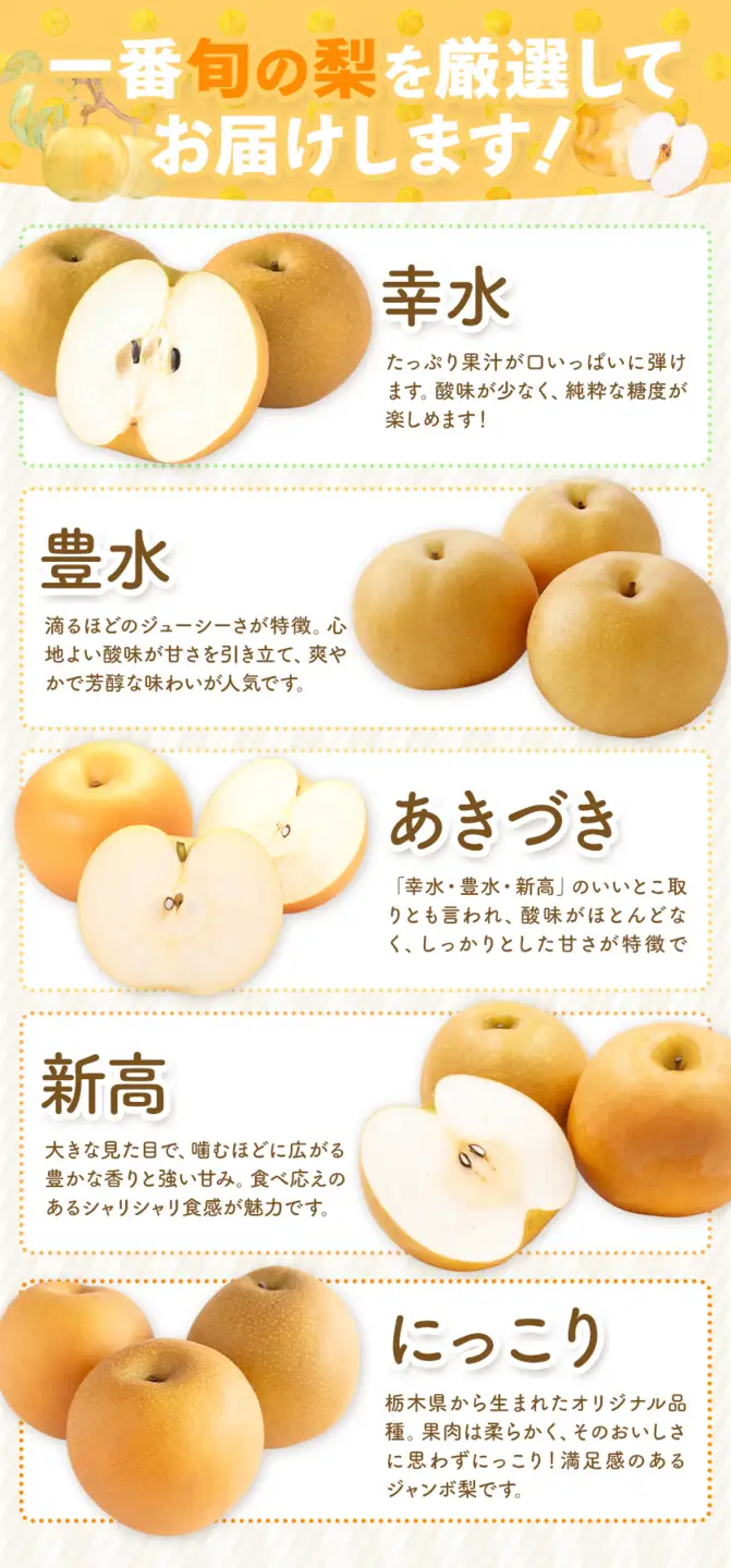 【2ヶ月定期便】先行予約 訳あり 旬の梨 計8kg 約4kg×2回 幸水 豊水 あきづき 新高 にっこり