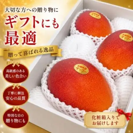 【2027年7月上旬から順次発送・贈答用】仲本マンゴー園の大玉アーウィンマンゴー2kg(3玉)【配送不可地域：離島】【1762588】