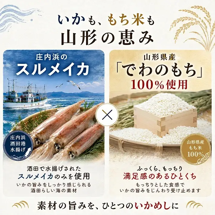 SA3048　日本海　庄内浜のいかめし