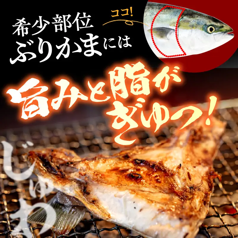 北海道産 天然 ぶり カマ（約1kg）