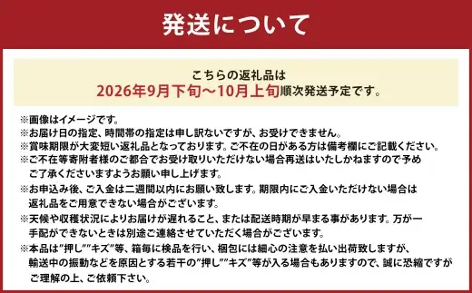 新高梨 3 〜 6玉 （ 合計約4.0kg ） 青秀以上 梨 なし ナシ くだもの 果物 フルーツ 果実 果汁 国産 岡山県産 梨の王様 【 2026年9月下旬〜10月上旬迄順次発送予定 】