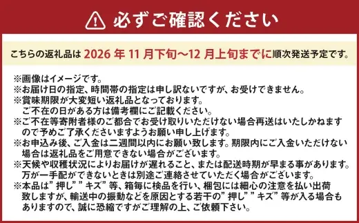 あたご梨 2玉 （ 合計約1.4kg ） 青秀以上 化粧箱入り 梨 なし ナシ くだもの 果物 フルーツ 果実 果汁 国産 岡山県産 化粧箱 ギフト プレゼント 贈答品 贈り物 【 2026年11月下旬〜12月上旬迄順次発送予定 】
