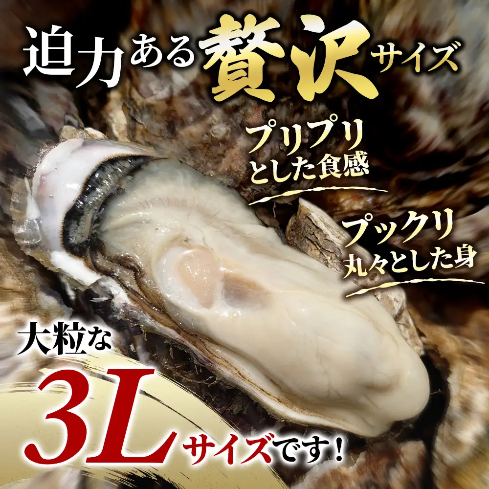 厚岸産牡蠣 マルえもん 3Lサイズ 6個 ブランド牡蠣