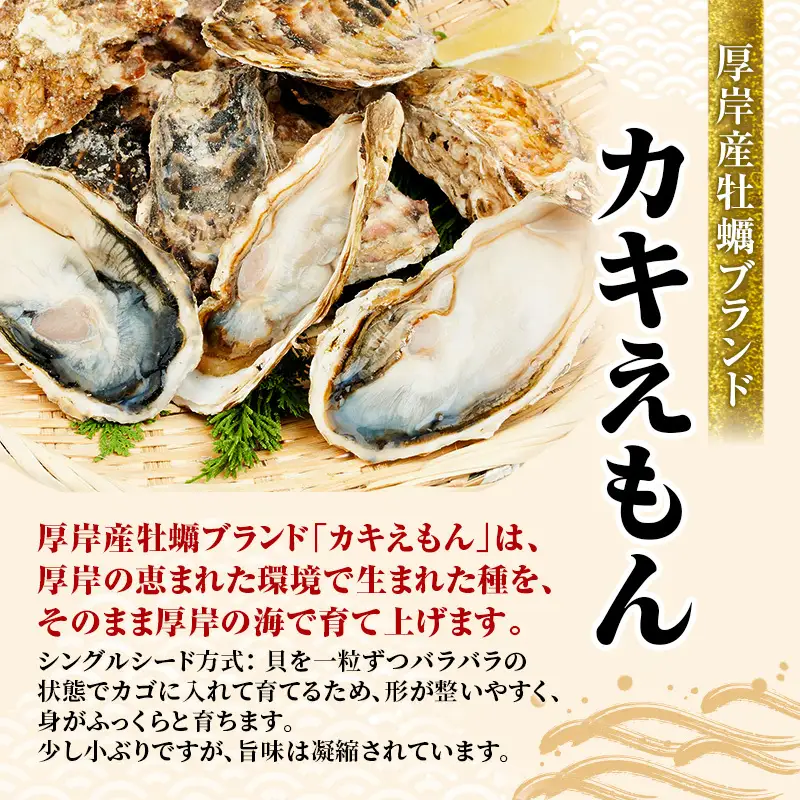 厚岸産牡蠣 カキえもん Mサイズ 6個 ブランド牡蠣