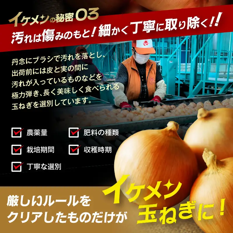 【予約：2027年4月～6月発送】JAきたみらい産 玉ねぎ Lサイズ 10kg 冷蔵 ( タマネギ たまねぎ 野菜 )【210-0005】