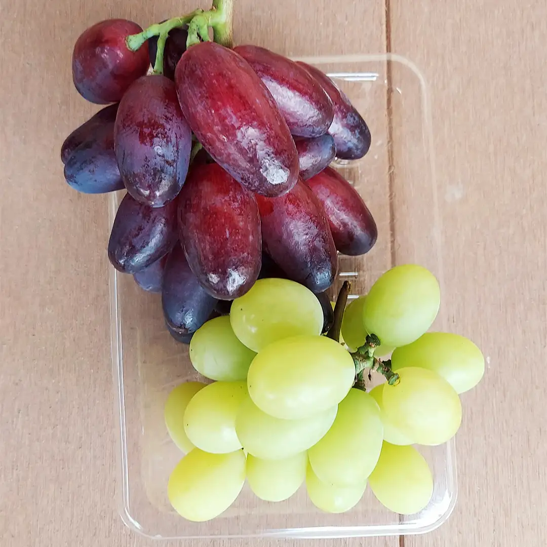 【先行予約】【 訳あり 】 ご家庭用 朝採れ ぶどう （品種おまかせ） 計 2kg 以上 （2026年8月下旬から発送開始）