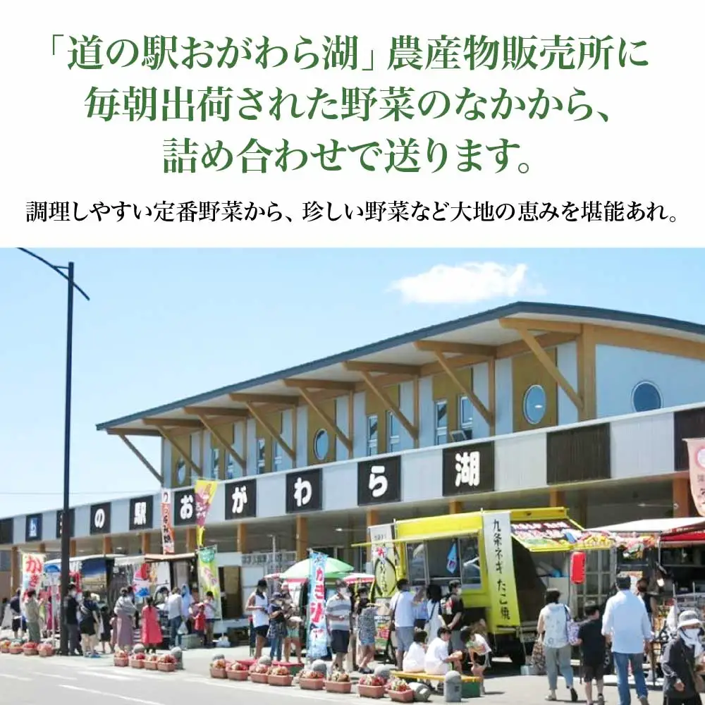 野菜詰め合わせセット（春、夏、秋）　【02408-0134】