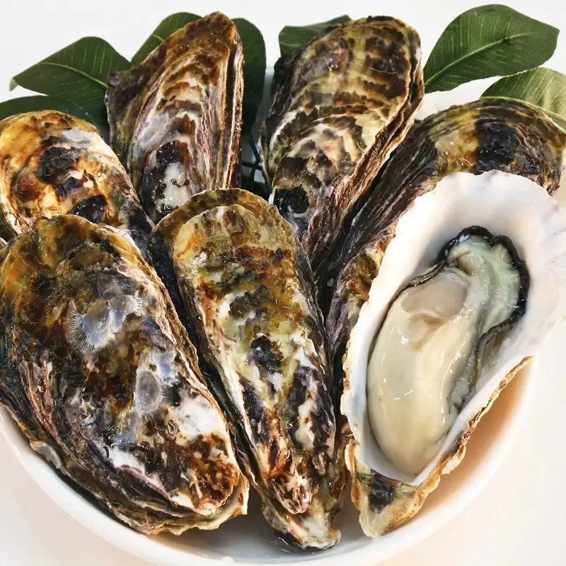 【冷凍】多度津白方 りょうせん牡蠣カンカン焼セット 3kg (加熱用)【A-157】