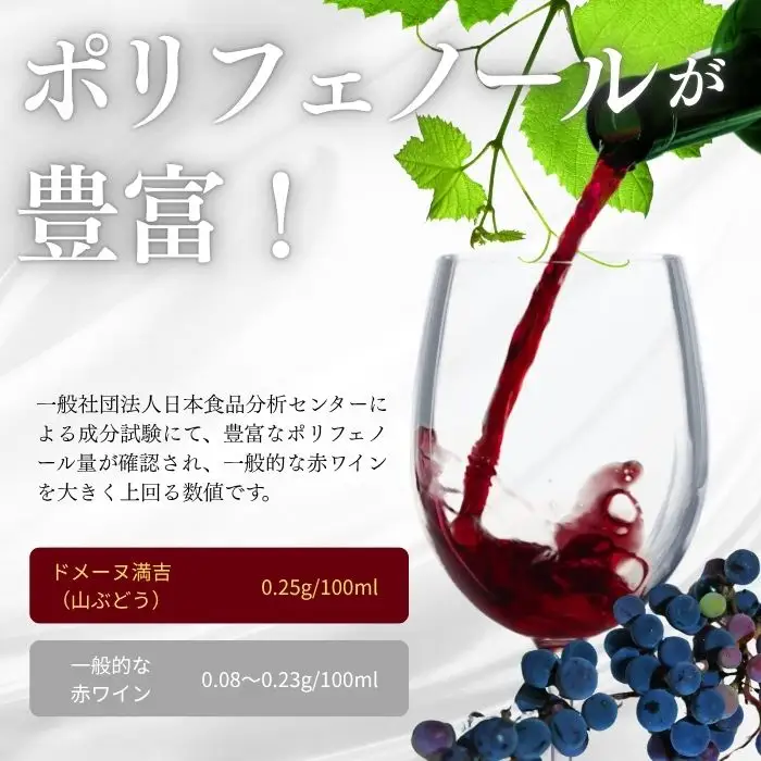 「満吉 2025」(750ml)  2本【ドメーヌ満吉】 日本ワイン 赤ワイン 山ぶどう 果実味 濃い 凝縮感 酸味 渋味 北海道 比布町 ぴっぷ 1030-002