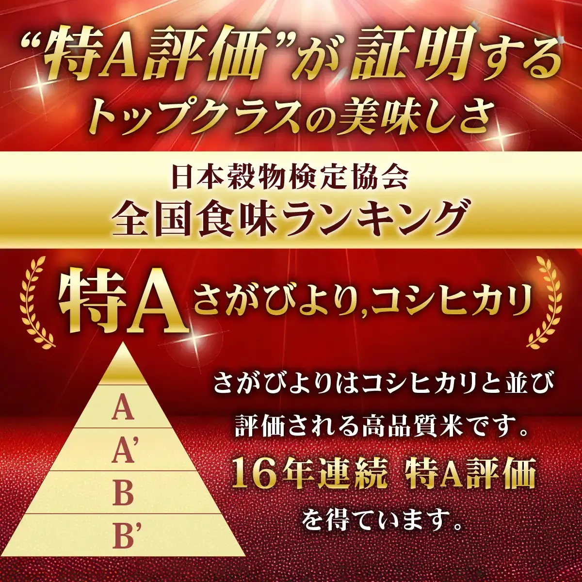 《10月下旬順次配送》令和8年産 さがびより 佐賀県産（精米）15kg
