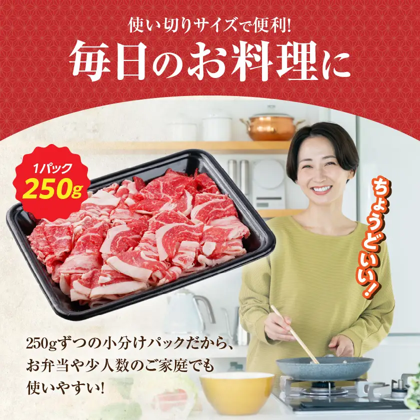 隔月6回お届け!【黒毛和牛】切り落とし1.5kg定期便〔T102-6-I9-001-KAKU〕_(都城市) 国産黒毛和牛 モモ・ウデ・マル・バラ・ブリスケ・ロース 切り落し 牛丼 肉じゃが ハヤシライス ビーフシチュー