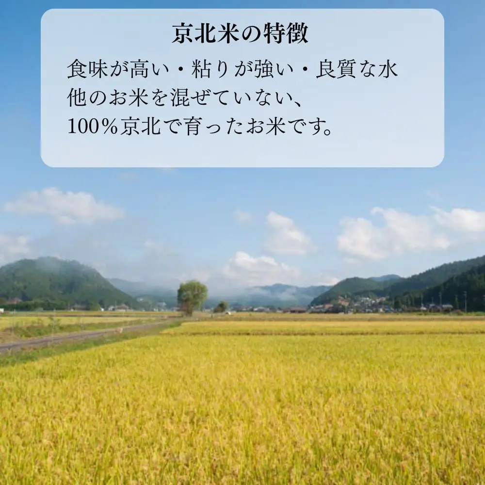 【50セット限定・新米先行受付】令和8年産 コシヒカリ 10kg (5kg×2袋) 京都・京北米 精米 12～1月発送【京北水稲担い手協議会】