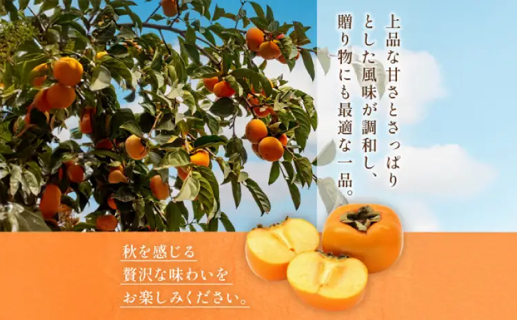 先行予約 柿 太秋柿 2kg くまふる宇城
