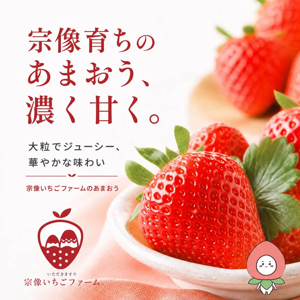 【先行予約】【2027年1月より順次発送】【3ヶ月毎月お届け】人気のいちご 2品種食べ比べ定期便【宗像いちごファーム】_HB0214 苺 イチゴ あまおう おいCベリー 福岡県宗像市 宗像市 福岡 宗像