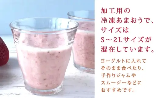やまや 【 濃厚な味わい！ 】 冷凍いちご 博多あまおう 約5kg いちご 苺 イチゴ くだもの 果物 フルーツ あまおう 冷凍 冷凍苺 冷凍イチゴ 国産 福岡県産 ジャム スムージー ヨーグルト 果実 果肉