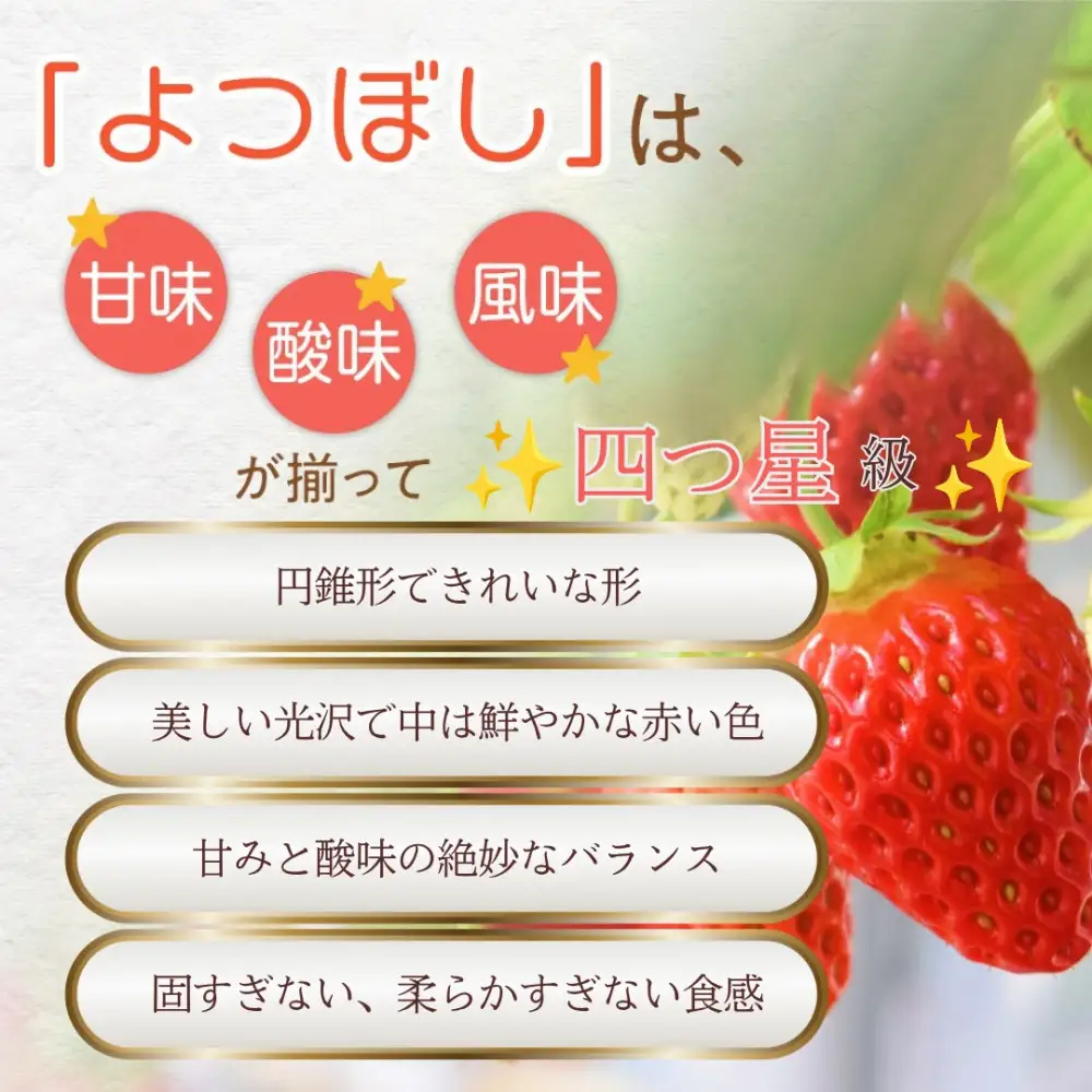 【先行予約！】2027年1月以降順次発送　食べ比べ「よつぼし」「うた乃」200ｇ×4パック