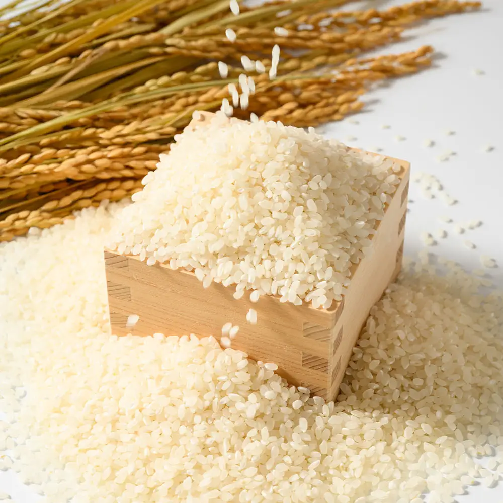 【先行予約】【令和8年産】茨城県産にじのきらめき 5kg ※2026年10月～発送 白米 精米