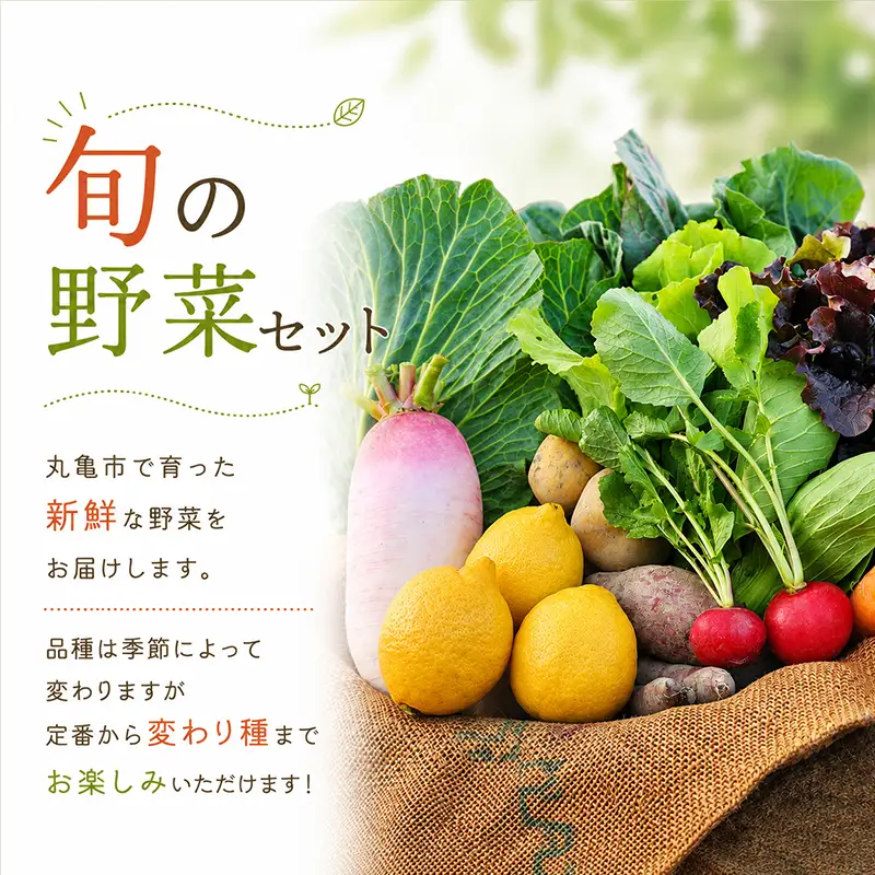 【定期便3回】 桃 シャインマスカット 夏野菜 野菜