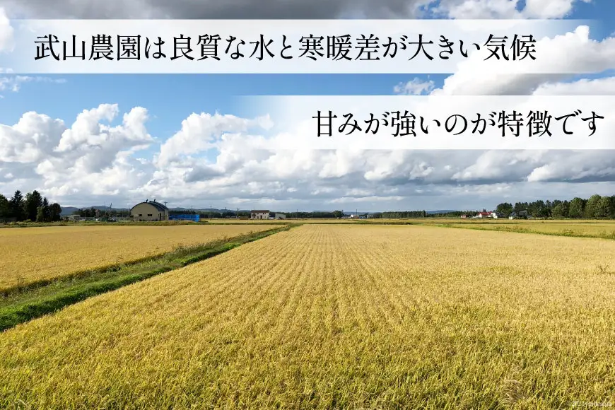 米 新米 令和8年 ゆきさやか 5kg