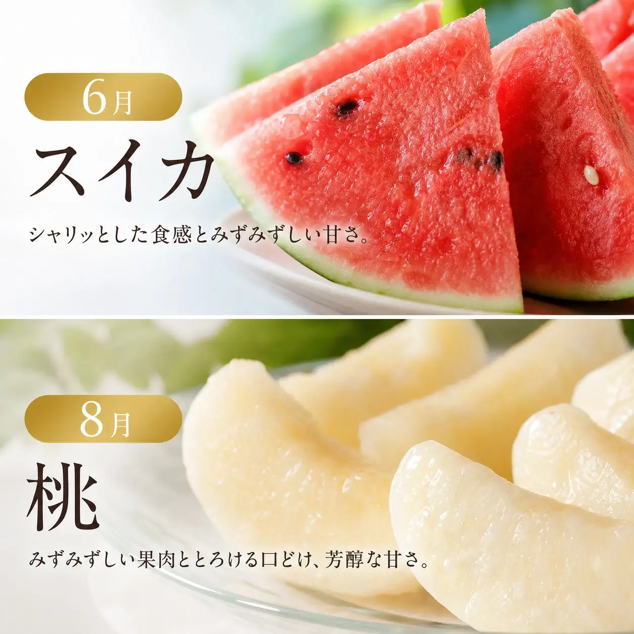 定期便【全6回/2・4・6・8・10・12月】紀州和歌山産旬のフルーツセット(不知火・清見・スイカ・桃・柿・みかん)全6回 / 定期便 フルーツ みかん オレンジ すいか 桃 ジュース みかん 柿 完熟みかん【tkb454】 