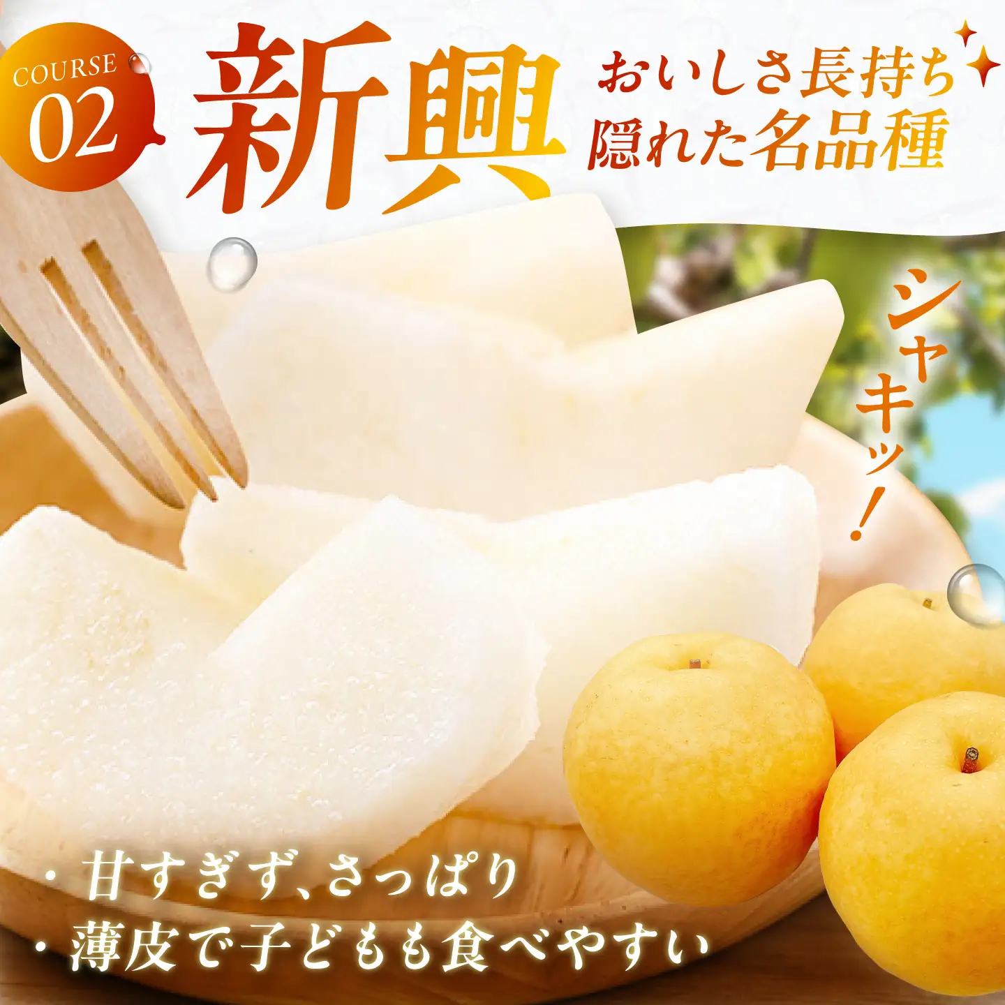 【2回定期便】 梨食べ比べ定期便 (豊水5kg/新興5kg) 広川町 / JAふくおか八女農産物直売所どろや[AFAB131]