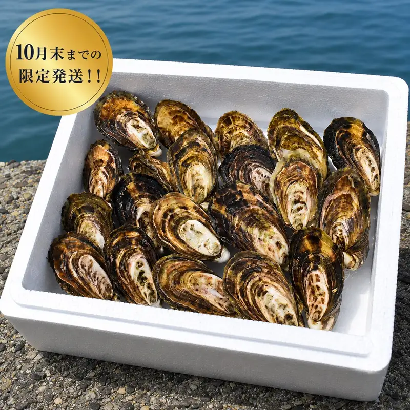 多度津白方 りょうせん夏牡蠣20個（生食用）【A-159】