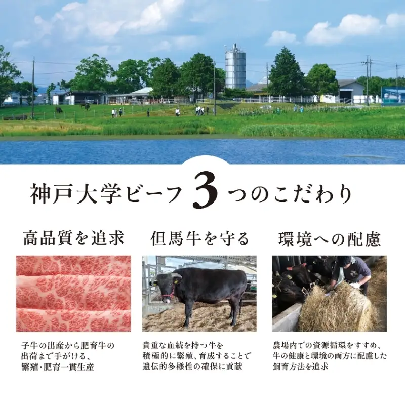神戸牛 神戸大学ビーフ 切り落とし お試し 神戸牛【300g】