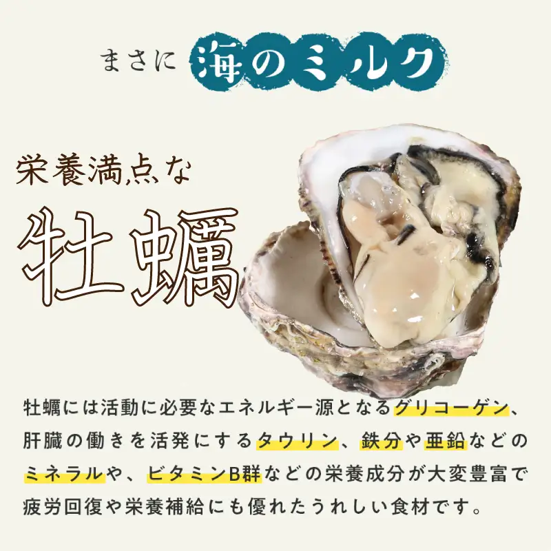 （冷蔵） Aコース 三倍体 伊勢牡蠣 XLサイズ 12個																																		 																																			