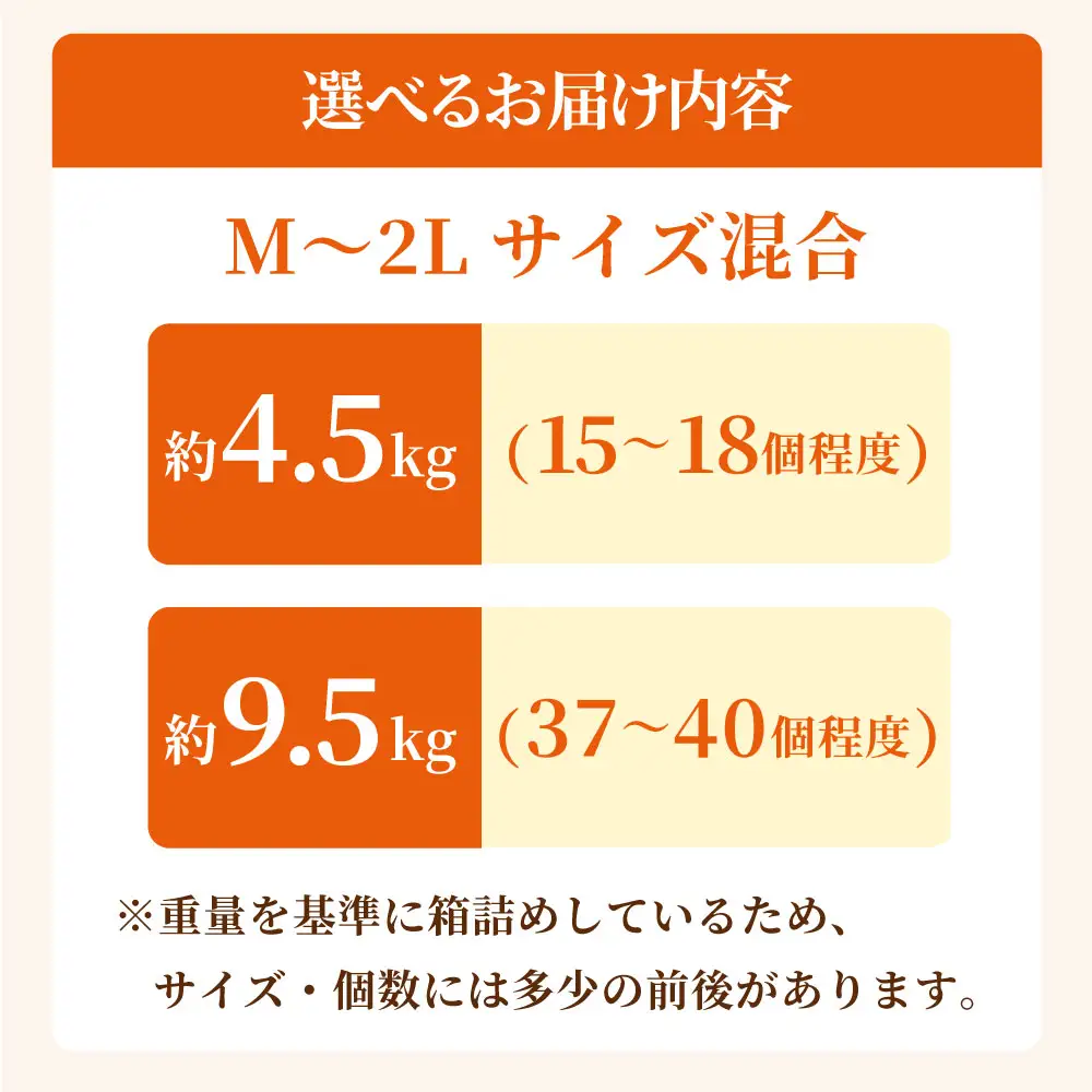 【味にこだわった新玉ねぎ】はたなかさんちの泉州玉ねぎ9.5Kg　
