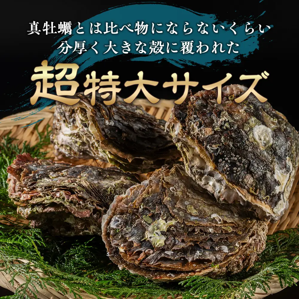 （冷蔵） Bコース 岩牡蠣 MSサイズ 4個