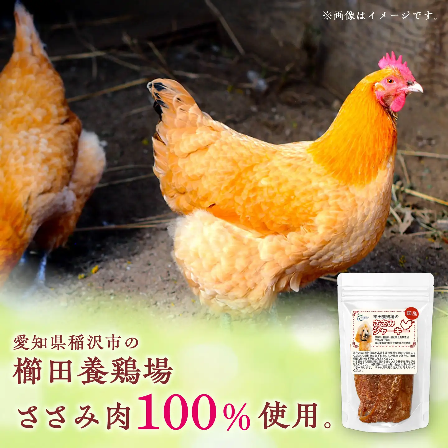 ささみジャーキー （40g×2袋）×2セット / おやつ ペットフード 国産 / 稲沢市 / 櫛田養鶏場[BMAY015]