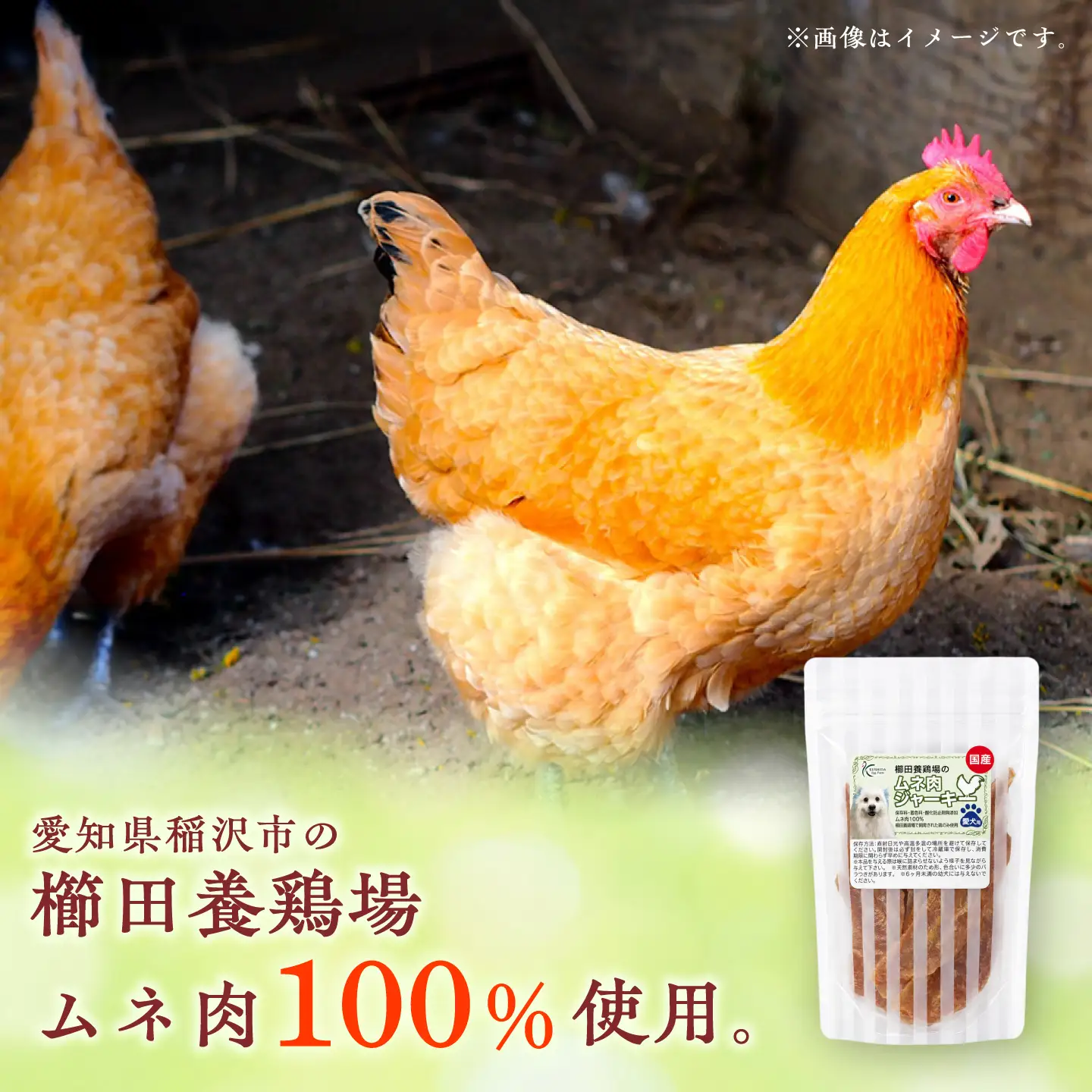 ムネ肉ジャーキー （40g×2袋）×2セット / おやつ ペットフード 国産 / 稲沢市 / 櫛田養鶏場[BMAY017]