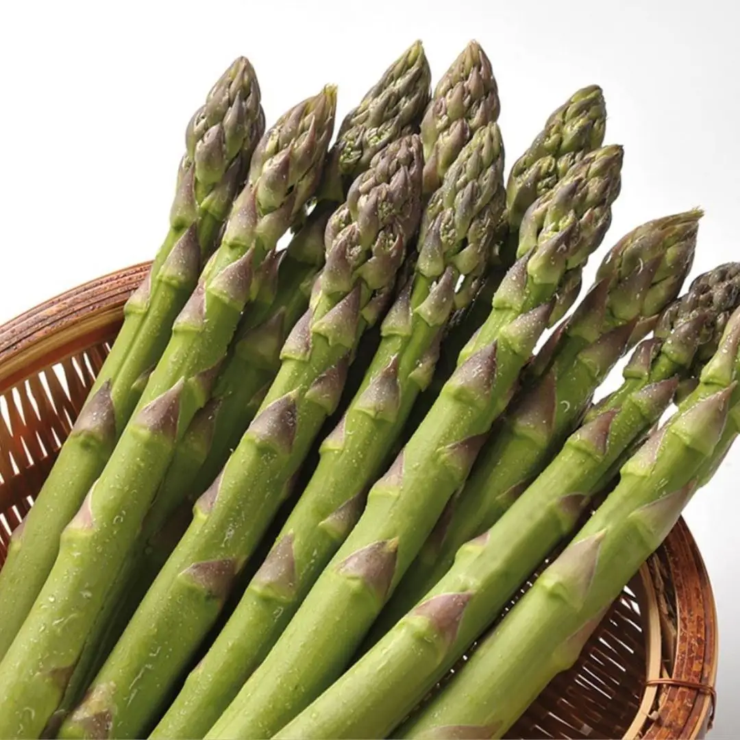 野菜 定期便【令和9年産 先行予約】6回便 野菜セット 美景農園