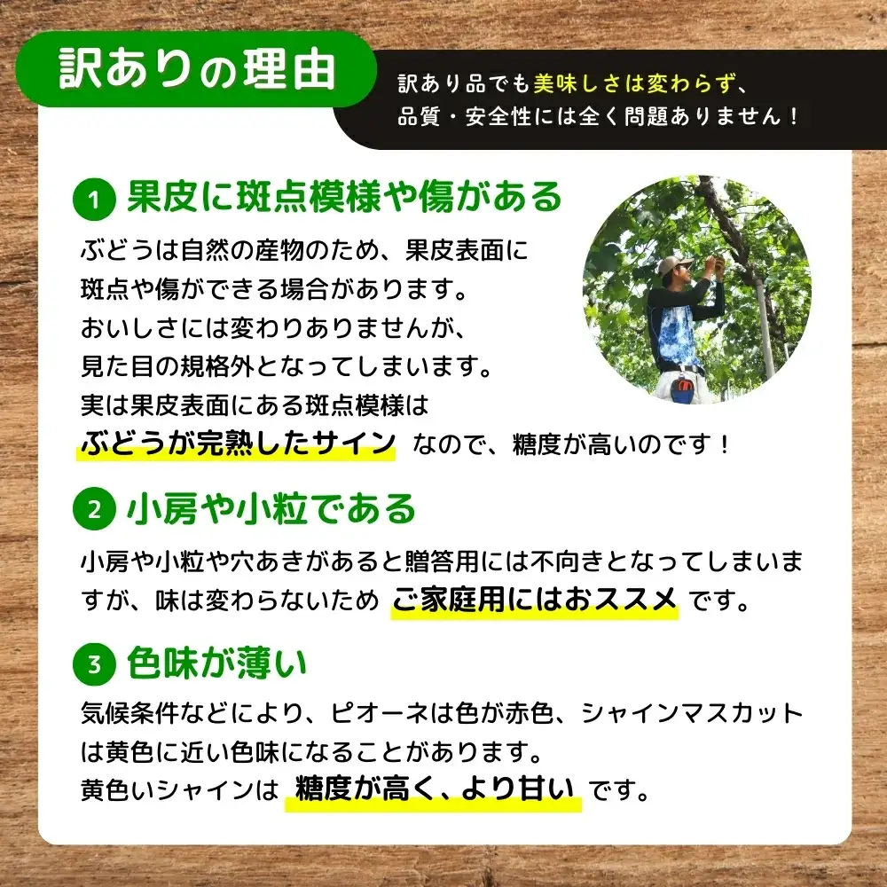 【2026年先行予約】 シャインマスカット お試し 1房 500g以上 葡萄 ぶどう シャインマスカット マスカット果物 フルーツ 新鮮 種なし 皮ごと 林ファミリーぶどう園 【hfbd009-01】 