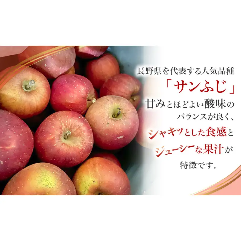 【先行予約】【訳あり・家庭用】長野県産 サンふじ 約3kg りんご リンゴ 不揃い 味は問題なし 家庭用 季節のフルーツ 果物 長野県 信州