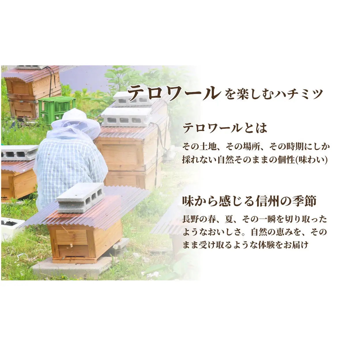 夏採れ 百花はちみつ【L】1個 国産 はちみつ 純粋 長野県 信州 上田産 夏 百花 ヘアリーベッチ フローラル 爽やか 香り 軽やか すっきり 甘み