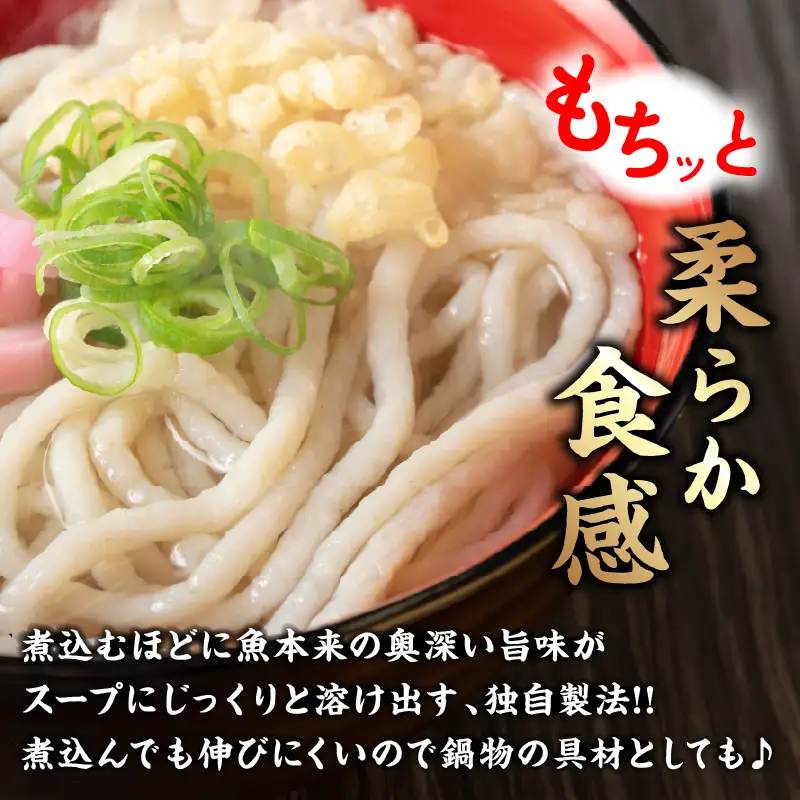 はまっこの海の幸 詰め合わせ つゆ付き セット_CC91-26