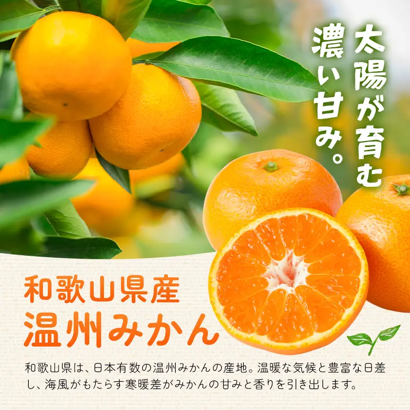 うんしゅうみかん 果汁100%（濃縮還元）30缶 