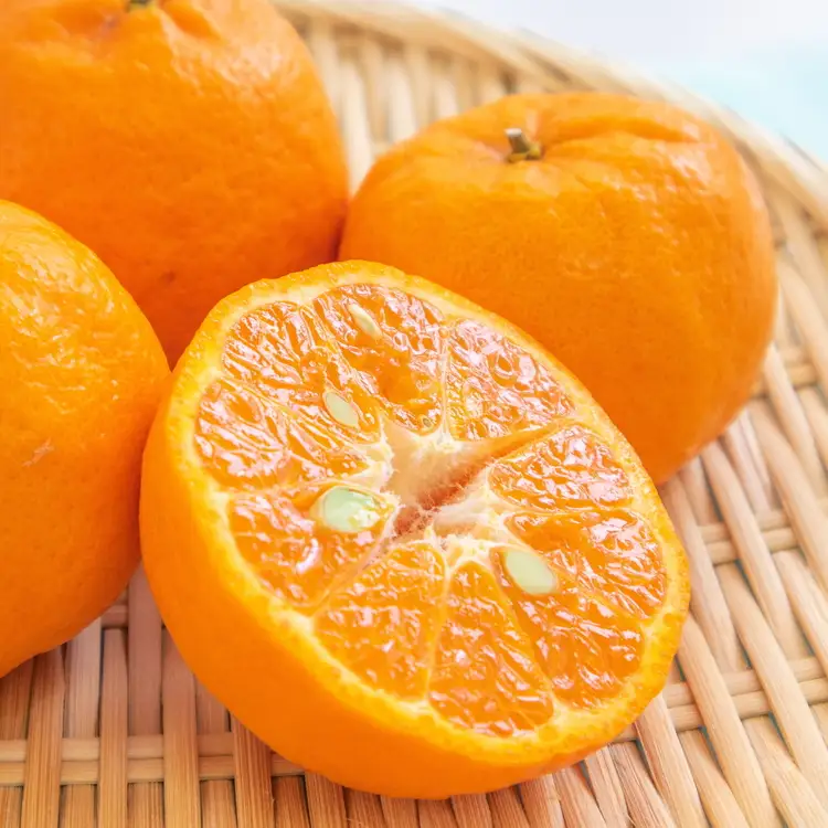 【先行予約】【秀品】紀州和歌山産 ポンカン 約5kg（箱込み）S～2L サイズ混合