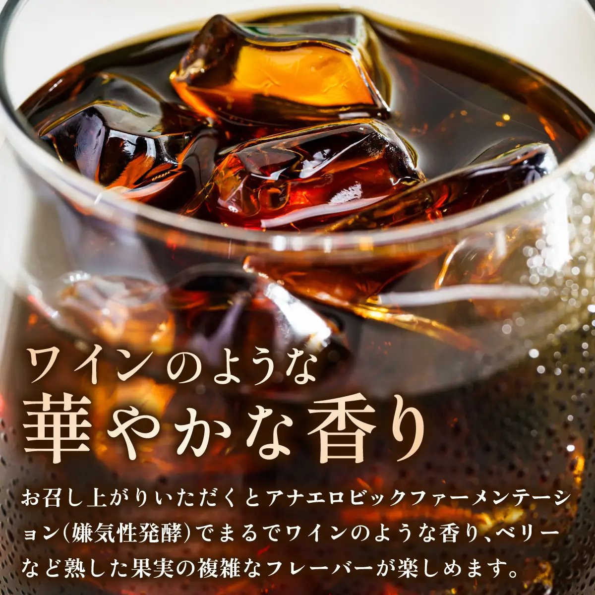 ボトルアイスコーヒー 500ml（箱入り）×2本【篠栗珈琲焙煎所】【AX06】 | ふるさと納税 アイスコーヒー ボトルコーヒー コーヒー 無糖アイスコーヒー 500ml 珈琲 スペシャルティコーヒー コーヒーギフト 箱入り お取り寄せ 人気 冷蔵 冷やして飲む 自家焙煎 贈答用 カフェ 高級飲料