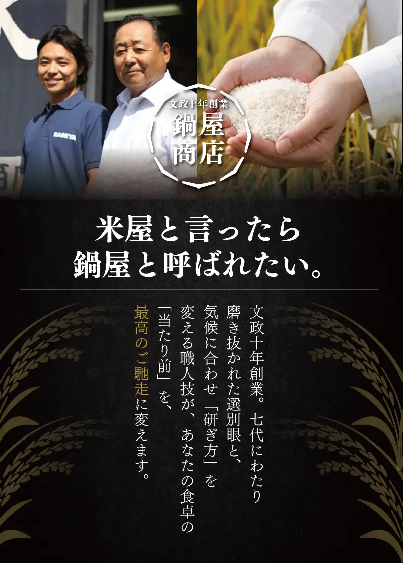 無洗米 コシヒカリ 5kg 令和7年産 精米 コシヒカリ