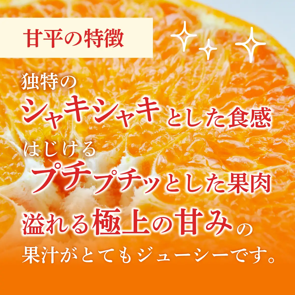 みかん ＜先行受付＞ 甘平 かんぺい レギュラー箱 2.5kg 愛媛